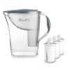 Wasserfilter Standard Grau Inkl. 3 Universal Filterkartuschen
