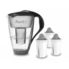 Glas-Wasserfilter Anthrazit Inkl. 3 Protect+ Filterkartuschen